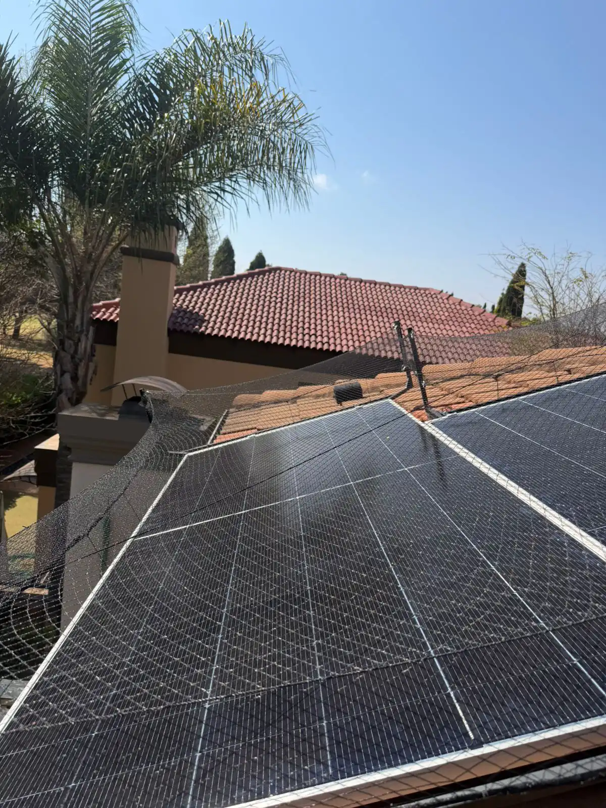 Close-up of protective mesh above a solar array on a tiled roof